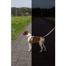 Trixie Premium Reflect Adjustable Lead
